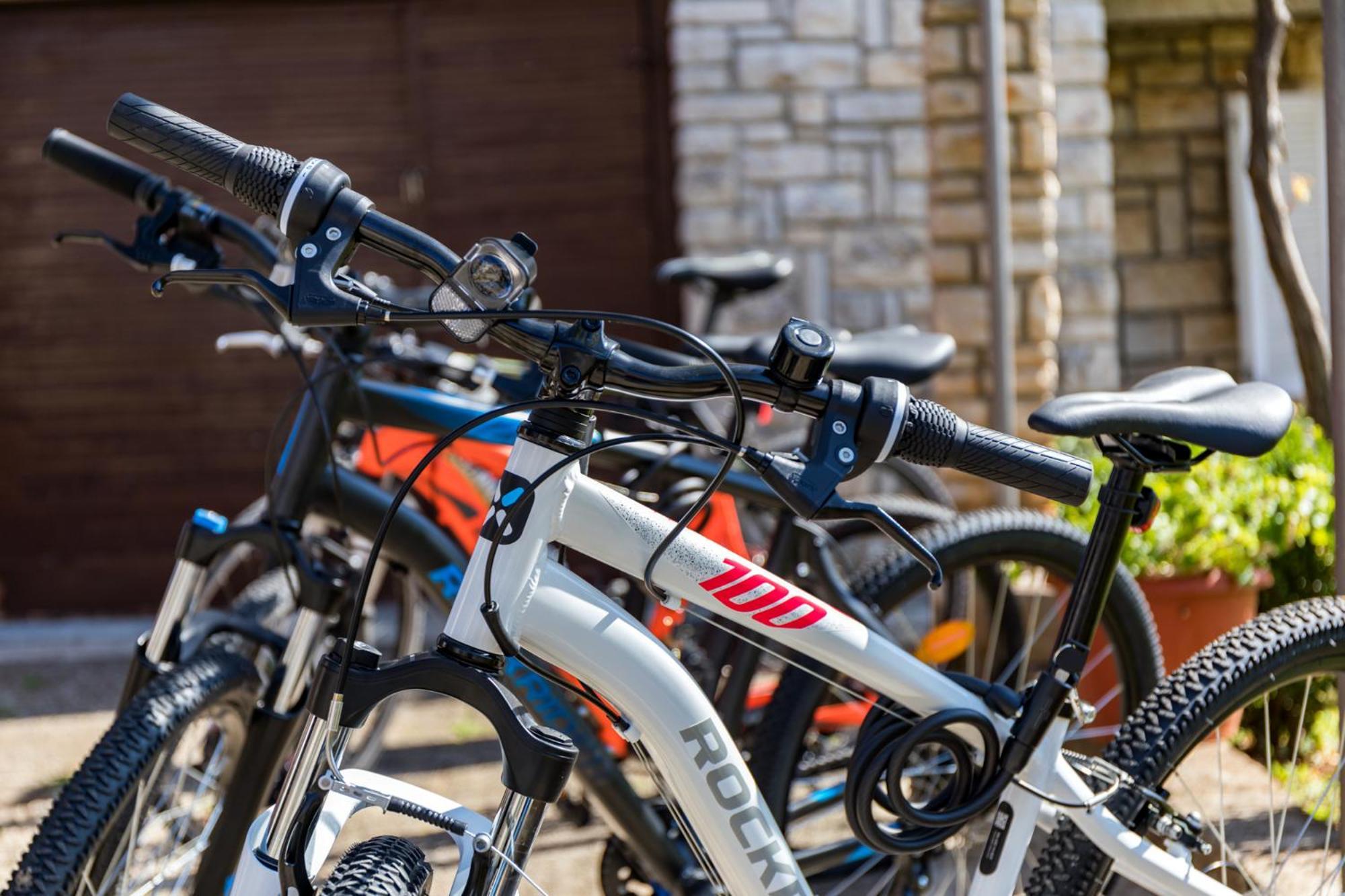Apartment Tesic Close To The Sea With Shared 4Xbicycles Fažana Kültér fotó