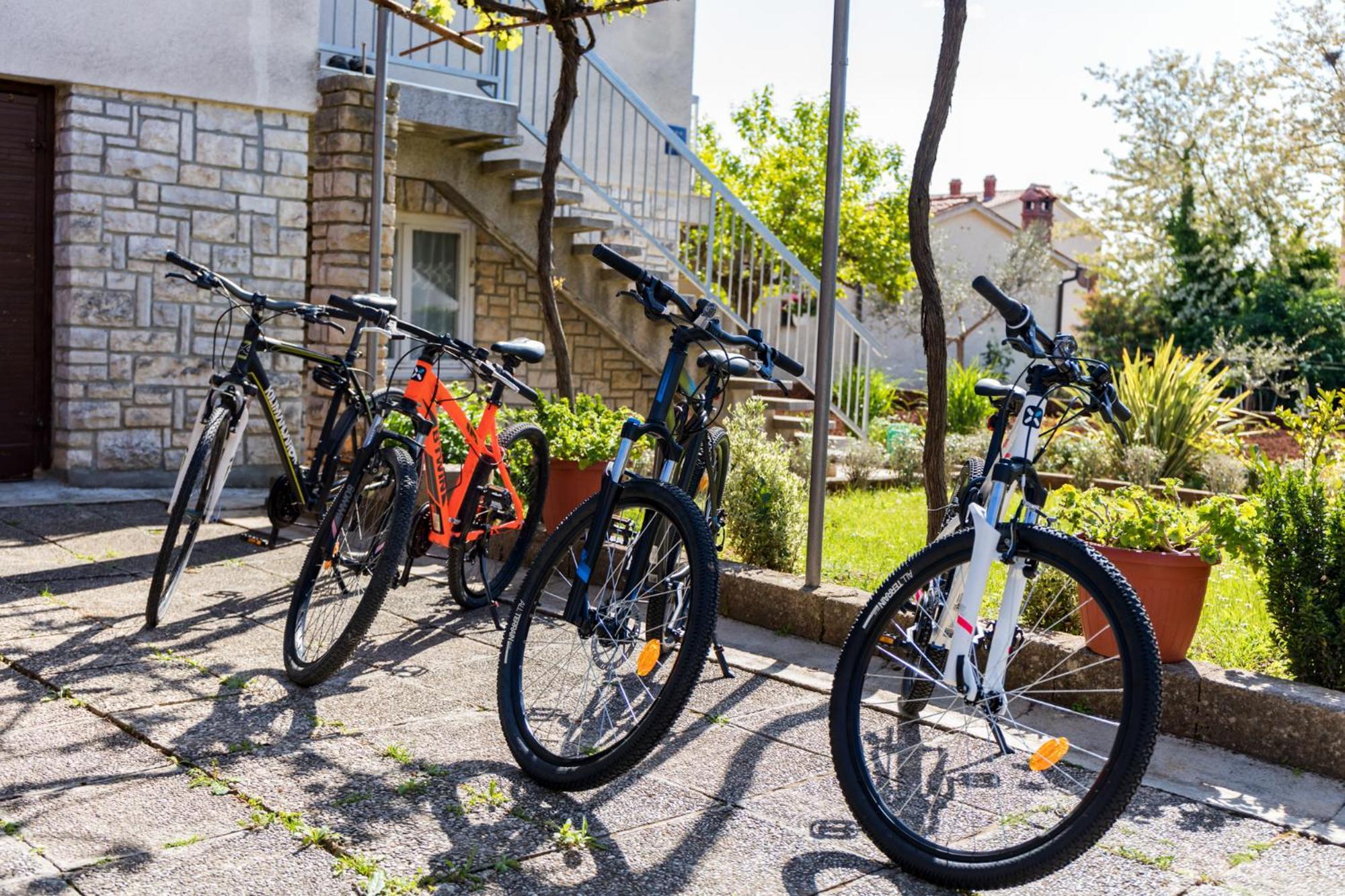 Apartment Tesic Close To The Sea With Shared 4Xbicycles Fažana Kültér fotó