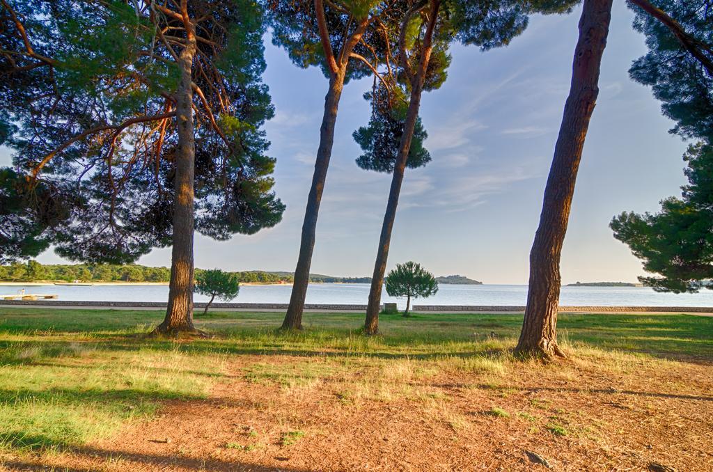 Apartment Tesic Close To The Sea With Shared 4Xbicycles Fažana Kültér fotó